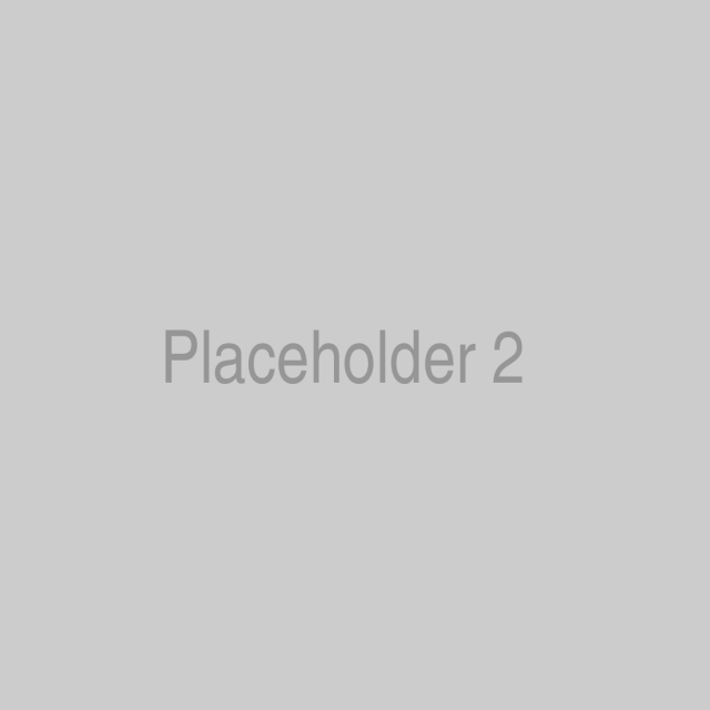 placeholder-2